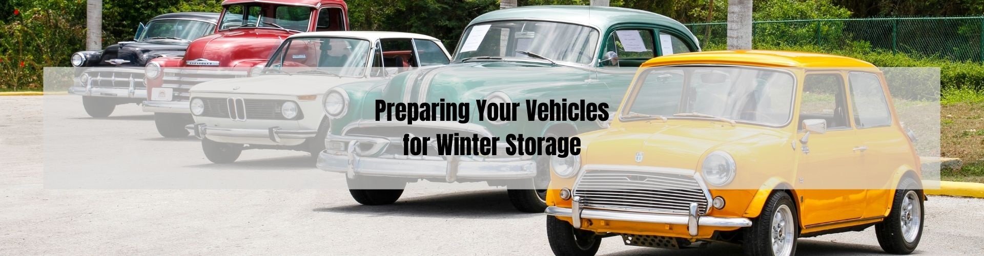 vehicle storage winter
